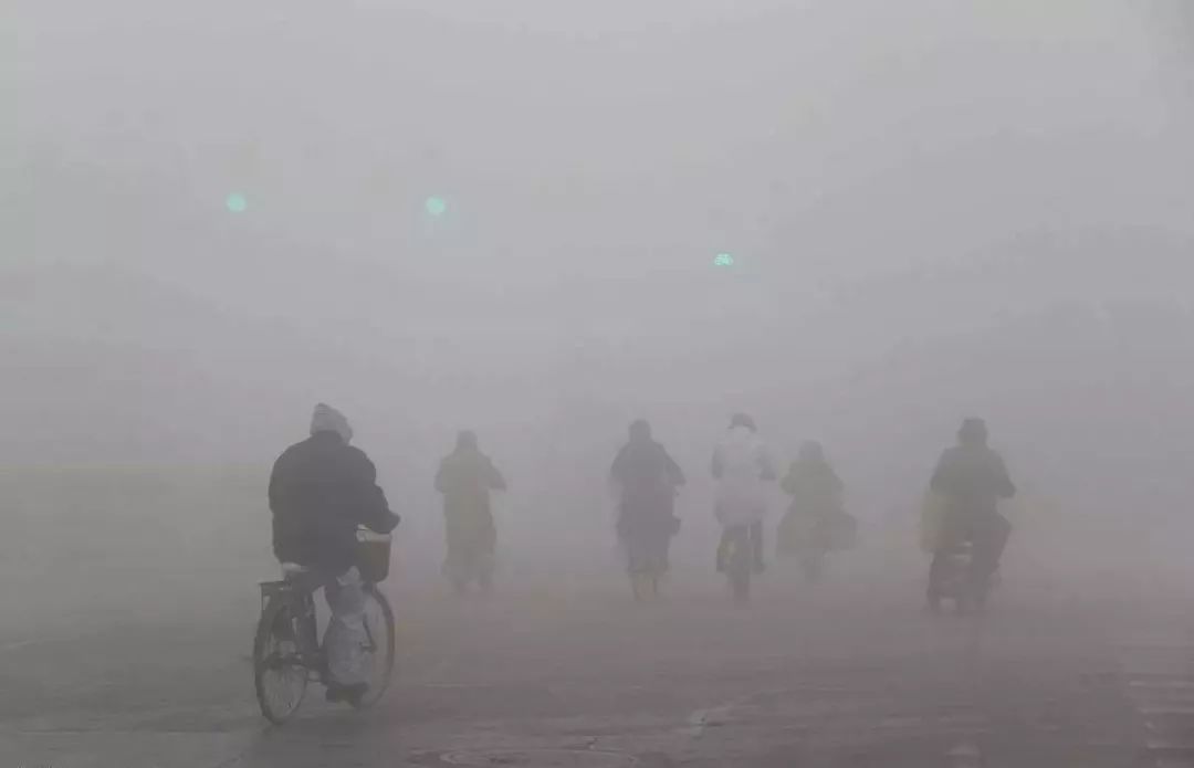 空氣污染如何殺死植物和動物？