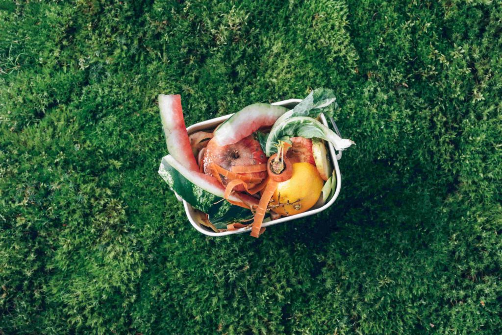 對(duì)食物浪費(fèi)說(shuō)不